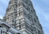 The Hindu Temple Society of North America