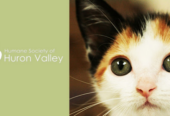 Humane Society of Huron Valley